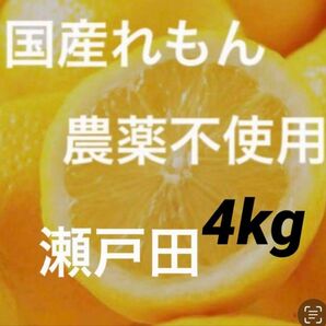 国産瀬戸田レモン