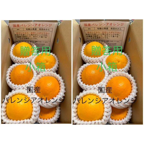 贈答用2箱セット小箱 L 10個 国産バレンシアオレンジ 有田みかん お中元 手土産