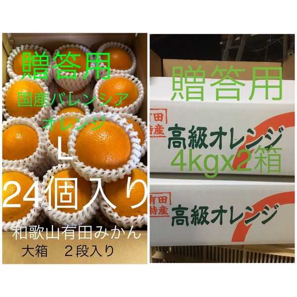 セール贈答用2箱セット 国産バレンシアオレンジ L 24個 和歌山県有田みかん