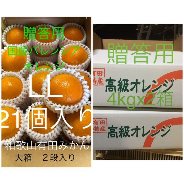 セール贈答用2箱セット国産バレンシアオレンジ LL 21個 和歌山県有田みかん