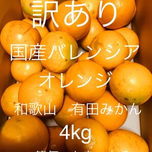 訳あり 国産バレンシアオレンジ LLサイズ 4kg /箱何でも/有田みかん