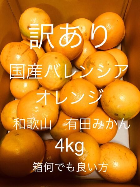 訳あり 国産バレンシアオレンジ M-Lサイズ 4kg /箱何でも/有田みかん