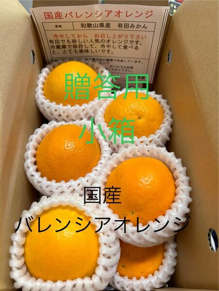 贈答用 小箱 L 10個 国産バレンシアオレンジ 有田みかん お中元 手土産