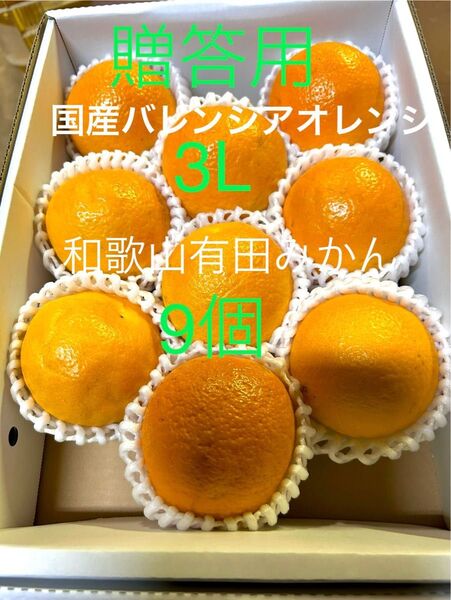 贈答用 3L 平箱 国産バレンシアオレンジ 9個入り お中元 有田みかん