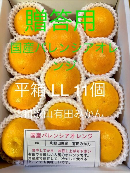 贈答用 LL 平箱 国産バレンシアオレンジ 11個入り お中元 有田みかん