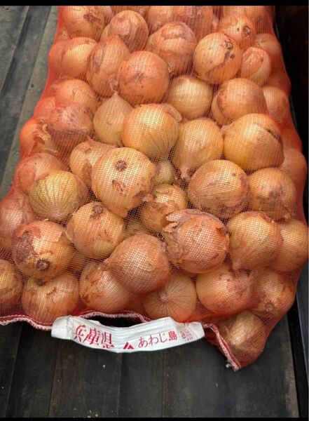 淡路の新玉ねぎ 正規品 約1kg 感謝セール