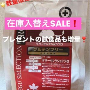 《在庫入替えSALE!》デグーセレクションプロ グルテンフリー正規品1袋&試食品プレゼント付!