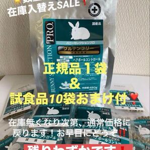 《 paypayフリマ限定!SALE!》バニーセレクションプロヘアボールコントロール450g+試食品プレゼント付!