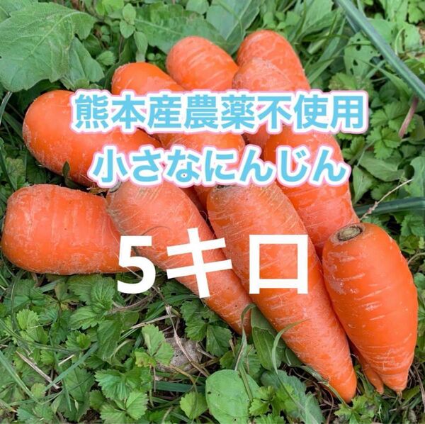 熊本産農薬不使用小さなにんじん5キロ