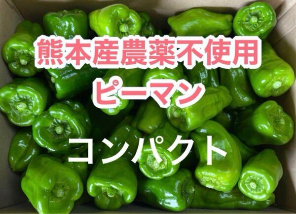 熊本産農薬不使用ピーマン◎コンパクト
