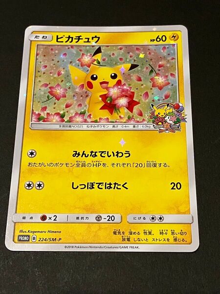 ポケモンカード ピカチュウ プロモ 224/SM-P