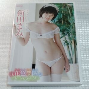 新田まみ/花色楽園 【DVD】 グラビア