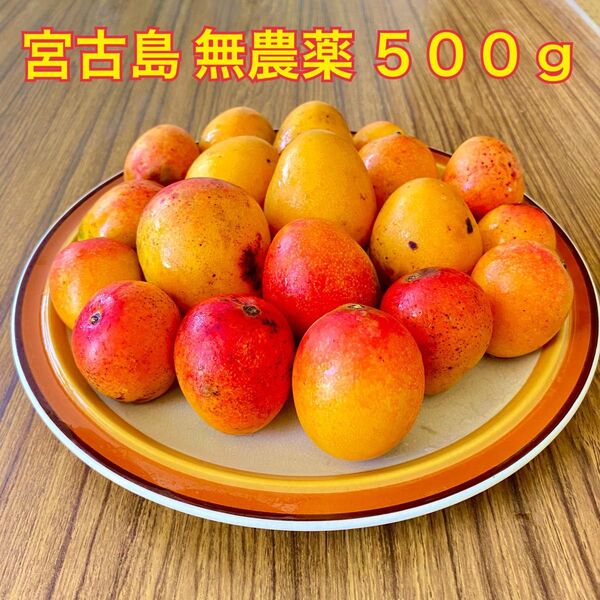 500《無農薬・数量限定・期間限定》宮古島産ピンポンマンゴー約500g