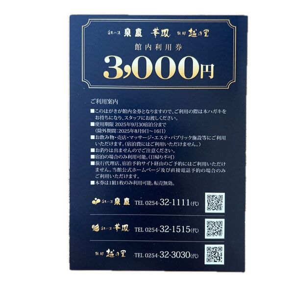白玉の湯 泉慶 華鳳 越の里 館内利用券 3000円分 クーポン 割引券