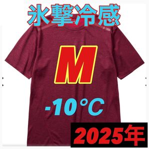 【M レッド 半袖 Tシャツ】ワークマン 氷撃冷感 (R)-10℃ 新品 ワークマン女子 ワークアウト ランニング ジム