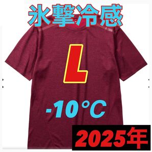 【L レッド 半袖 Tシャツ】ワークマン 氷撃冷感 (R)-10℃ 新品 ワークマン女子 ワークアウト ランニング ジム