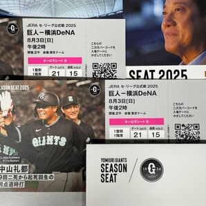 2025年8月3日(日)巨人vs横浜DeNA 東京ドーム オーロラシートB 通路席含む2席(良席)読売ジャイアンツシーズンシート