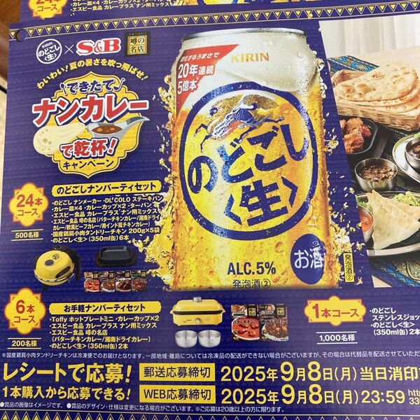 キリン のどごし ナンカレーキャンペーン 専用応募ハガキのみ10枚 応募用レシート無し。