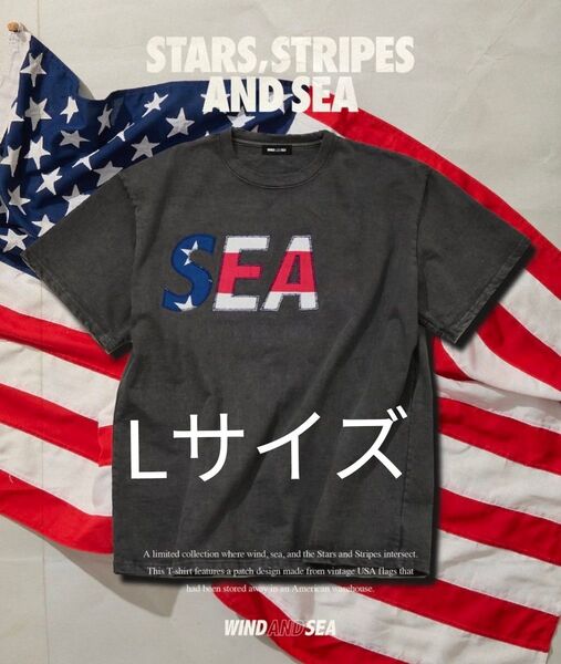 WIND AND SEA SIGNATURE USA SEA S/S TEE Tシャツ 半袖Tシャツ