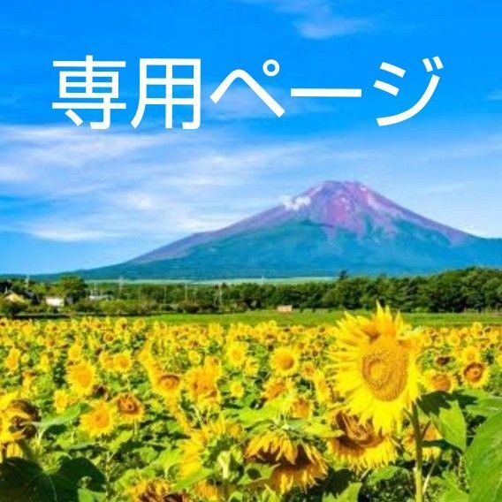エリクシールレチノパワーリンクルクリームL 20本