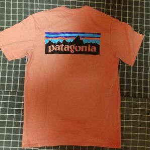 パタゴニア ポケットTシャツ patagonia
