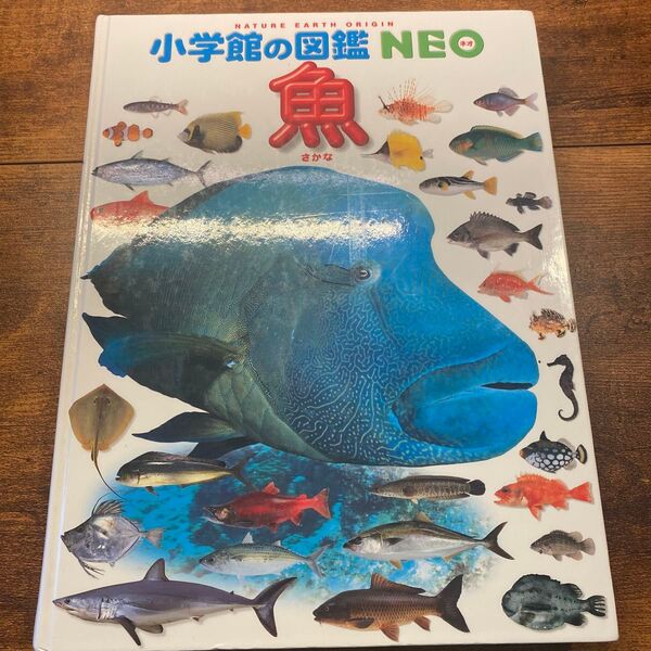 小学館の図鑑NEO 魚