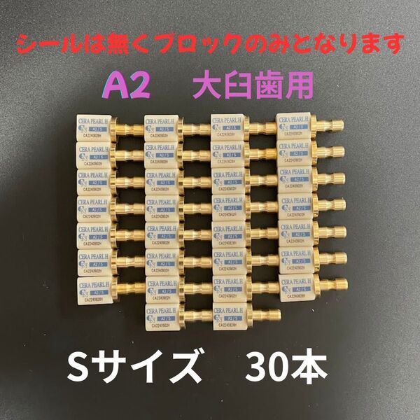 CADブロック 大臼歯 A2 Sサイズ 30本