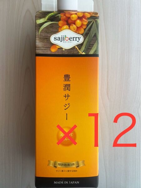 フィネス 豊潤サジー 1000ml×12本セット