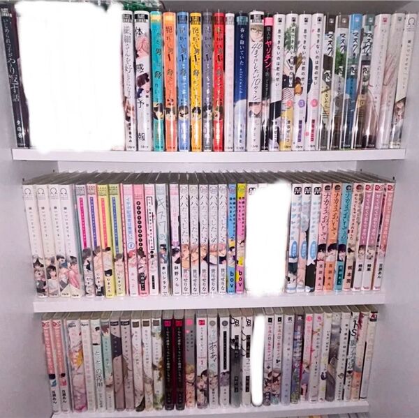 BL91冊 バラ売り