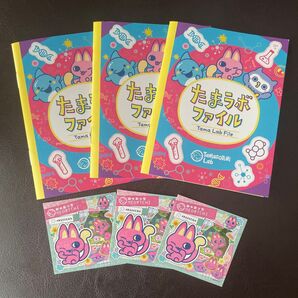 たまラボファイル ステッカー たまごっちパラダイス 初回限定 購入者特典