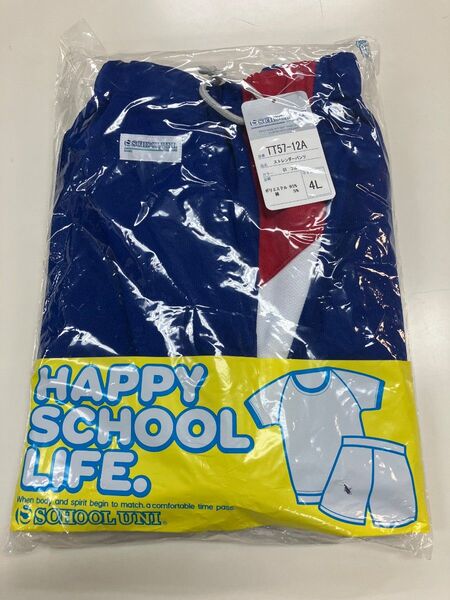 体操服 ストレンダーパンツ 切り替え ブルー 4L ビックサイズ