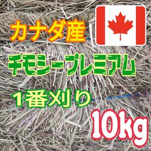 【カナダ産】チモシー10kg☆プレミアム☆1番刈り☆R6年産