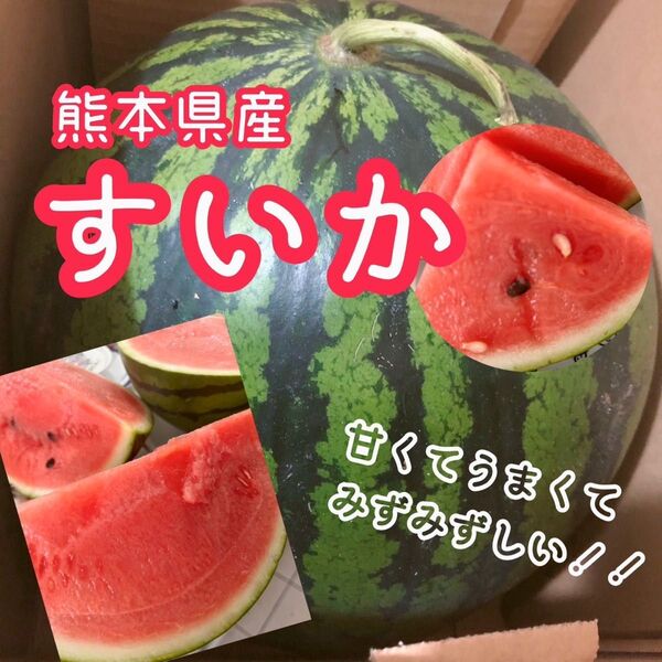 GW前にどうぞ!熊本県産!植木すいか Mサイズアップ 家庭用(送料無料)