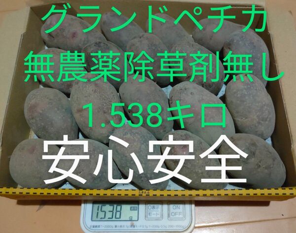 グランドペチカ デストロイヤー