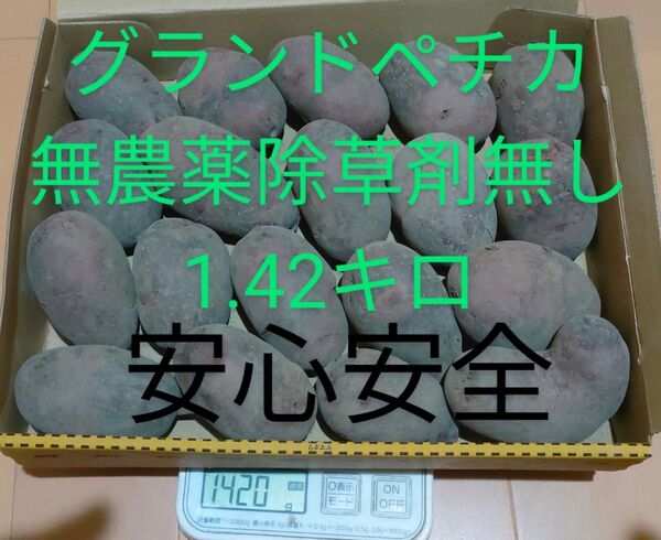 グランドペチカ デストロイヤー