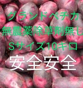 グランドペチカ デストロイヤー小粒