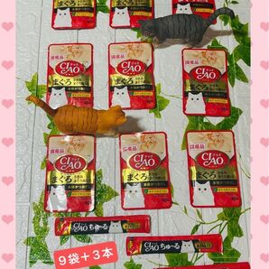 CIAO いなば パウチ ささみ まぐろ節入り 本格かつおだし 国産 9袋 緑茶消臭成分 40g 猫 ちゅーる 三本