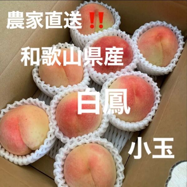 和歌山県産 桃 白鳳 農家直送 手提げ箱 小玉