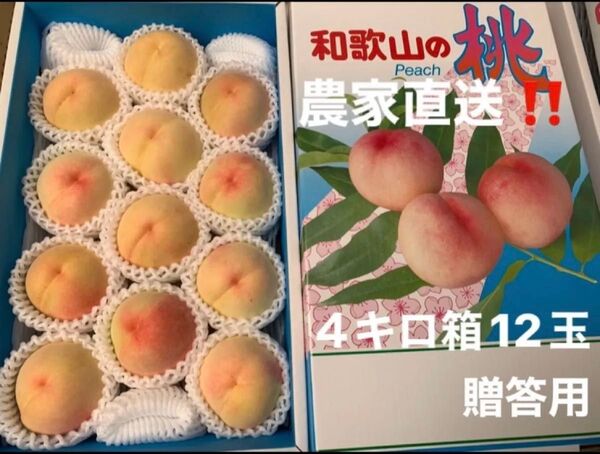 和歌山県産 桃 白鳳 農家直送 4キロ箱 12玉