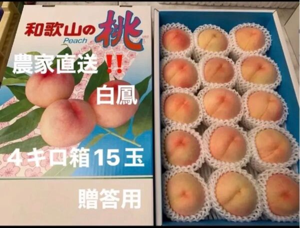 和歌山県産 桃 白鳳 農家直送 4キロ箱 15玉 贈答用