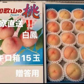 和歌山県産 桃 白鳳 農家直送 15玉 贈答用