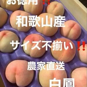 和歌山県産 桃 白鳳 農家直送 4キロ箱 家庭用