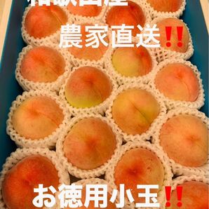 和歌山県産 桃 白鳳 農家直送 4キロ箱 小玉