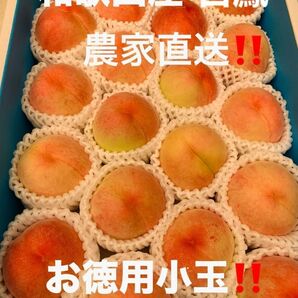 和歌山産 白鳳 小玉(18~20玉) お徳用