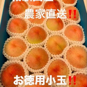 和歌山県産 桃 白鳳 農家直送 4キロ箱 小玉