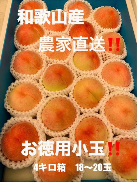 和歌山県産 桃 白鳳 農家直送 小玉 家庭用