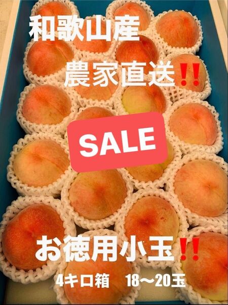和歌山県産 桃 白鳳 農家直送 小玉 家庭用