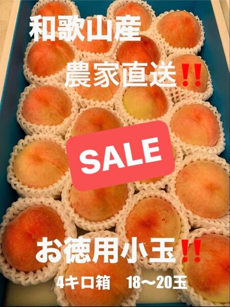 和歌山県産 桃 白鳳 農家直送 小玉 家庭用