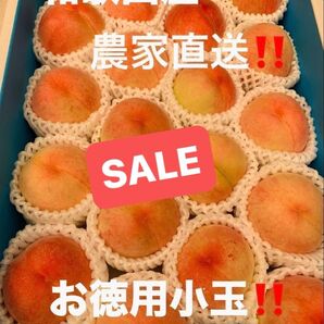 和歌山県産 桃 白鳳 農家直送 小玉 家庭用