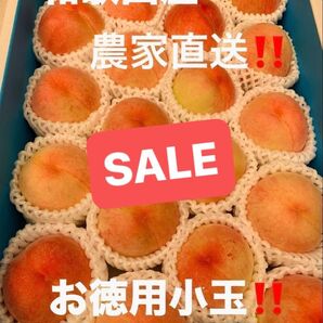 和歌山県産 桃 白鳳 農家直送 小玉 家庭用